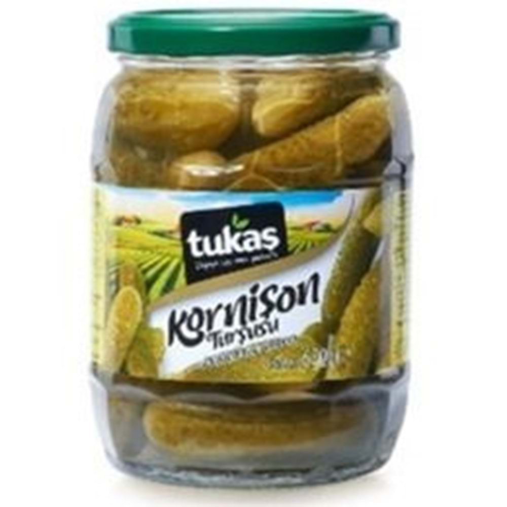 TUKAŞ KORNİŞON TURŞU 670G