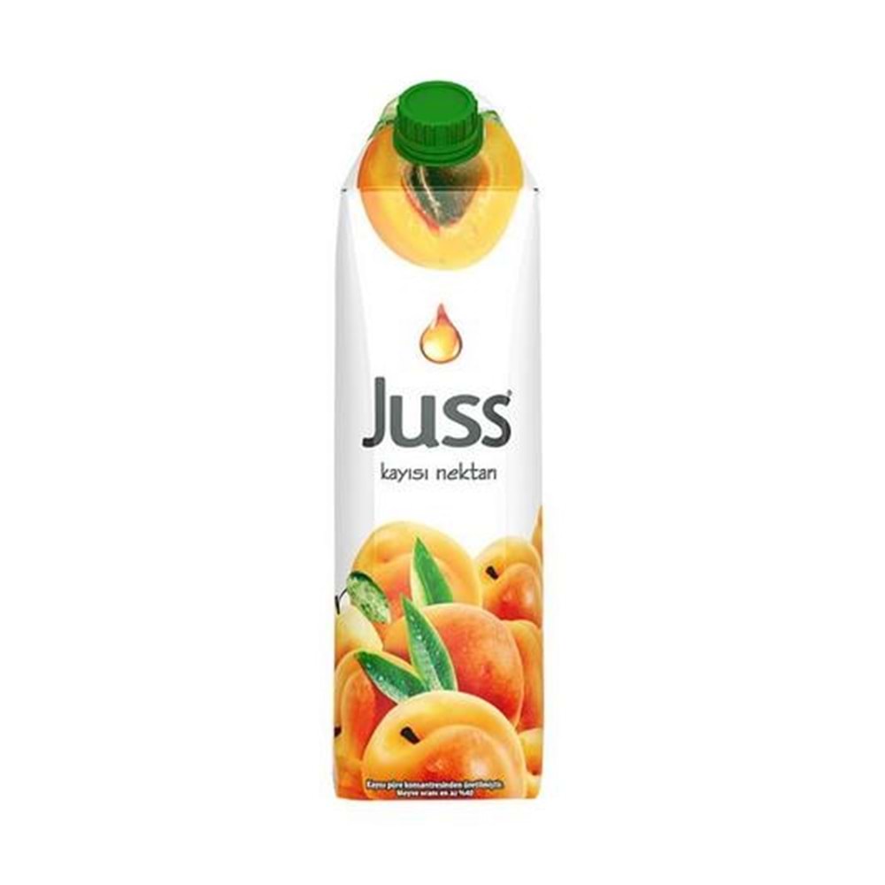 JUSS NEKTAR ŞEFTALİ 1 L