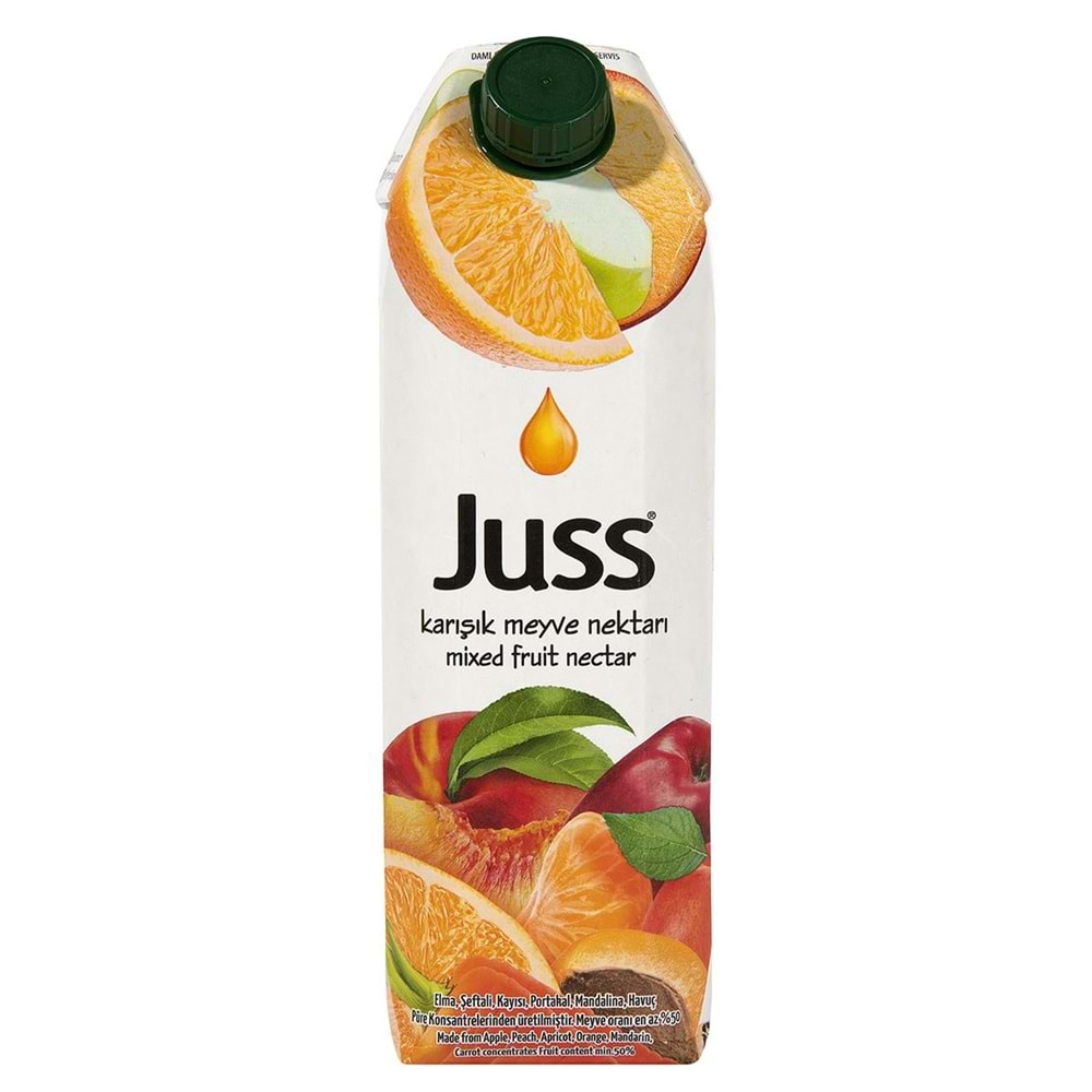 JUSS KARIŞIK 1L