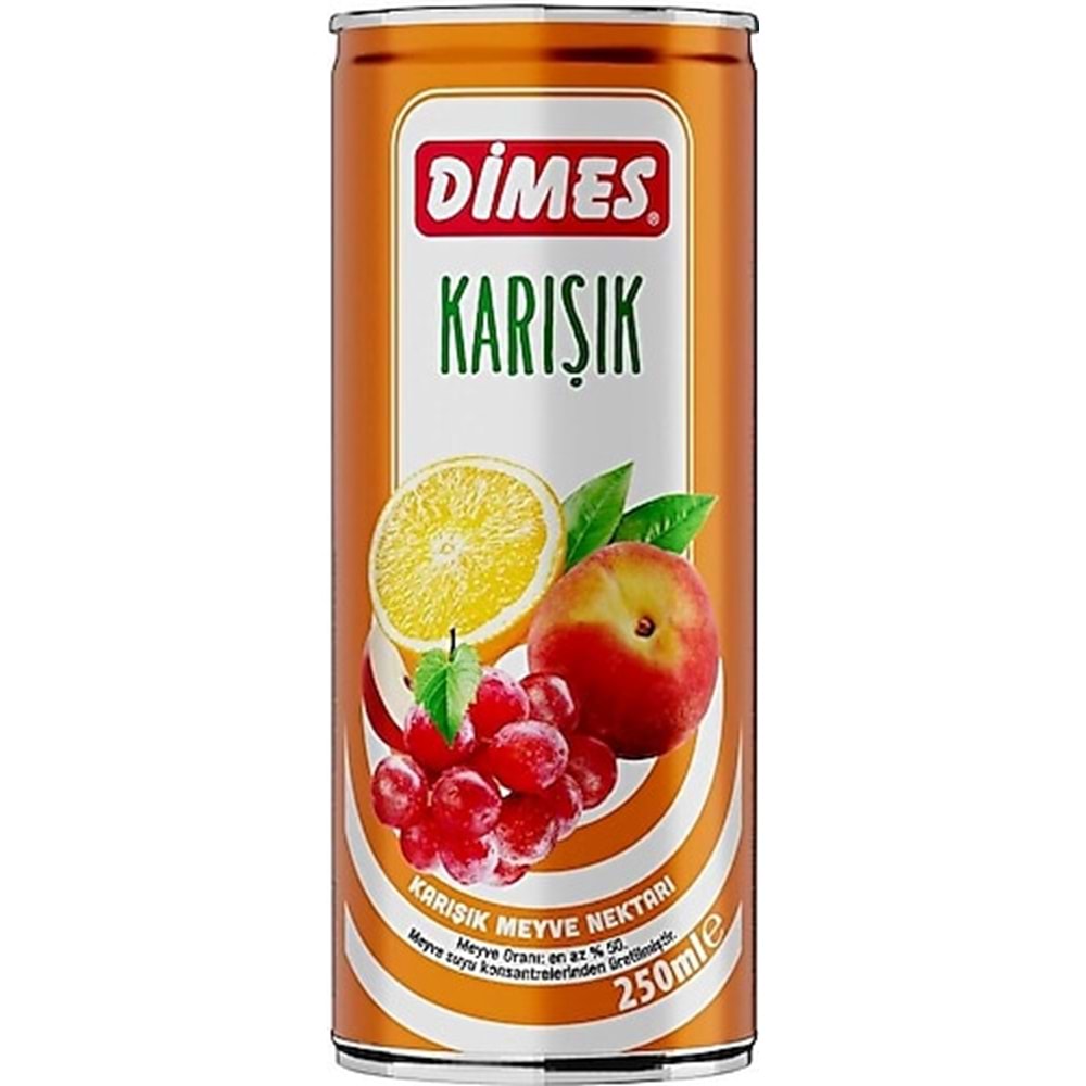 DİMES KARIŞIK MEYVE SUYU 250ML