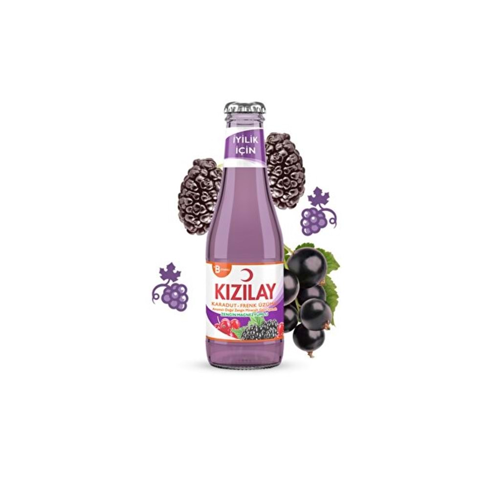 KIZILAY KARADUT FRENK ÜZÜMÜ 200ML