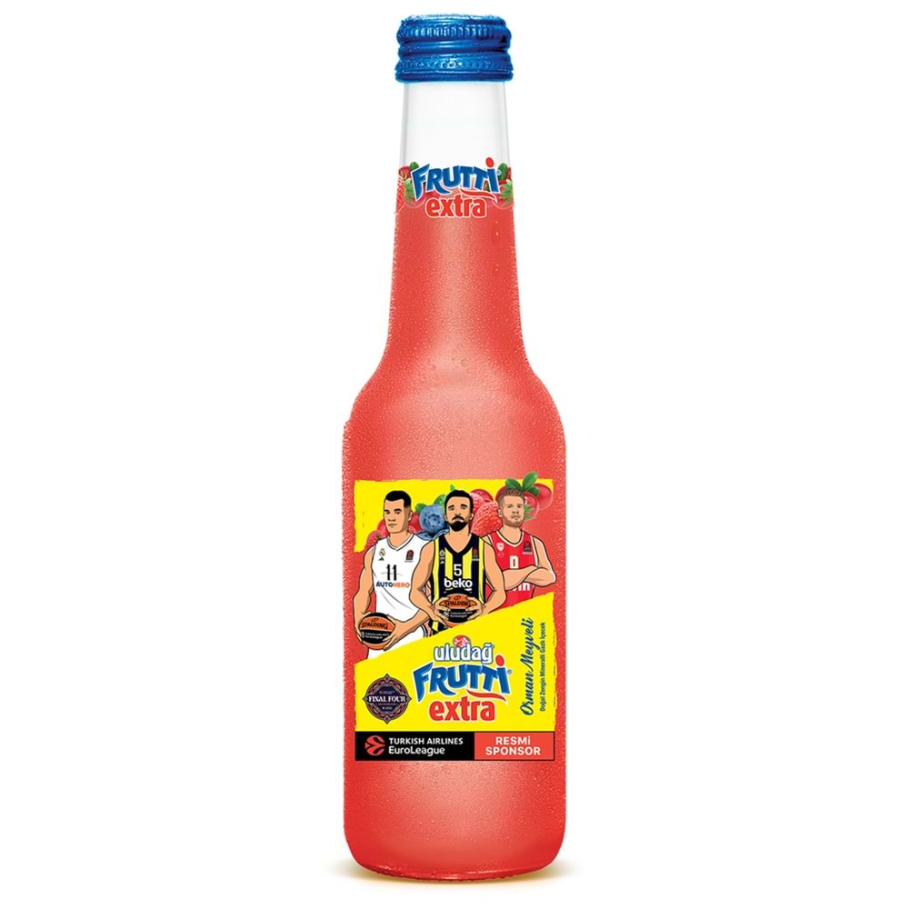 FRUTTİ EXTRA ORMAN MEYVELİ 250 ML