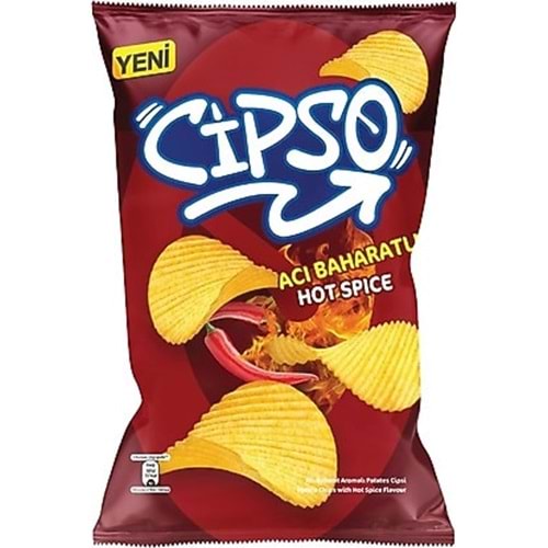 CİPSO ACI BAHARATLI 104 G