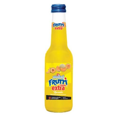 FRUTTİ EXTRA.KAVUN 250 ML