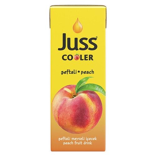 JUSS COOLER ŞEFTALİ 200 ML