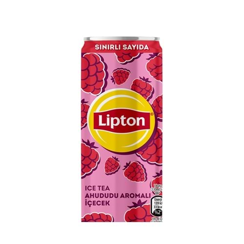 LİPTON AHUDUDU 200 ML TENEKE