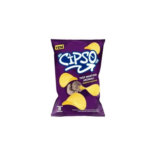 TRÜF MANTARLI CİPS 104G