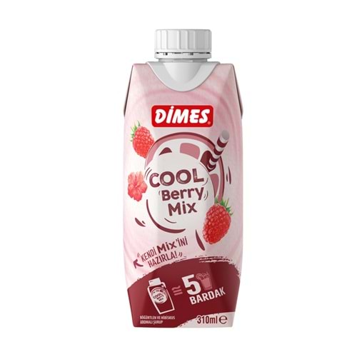 DİMES COOL BÖĞÜRTLEN 310 ML