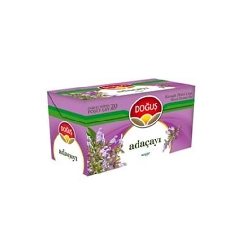 DOĞUŞ ADAÇAYI 20Lİ