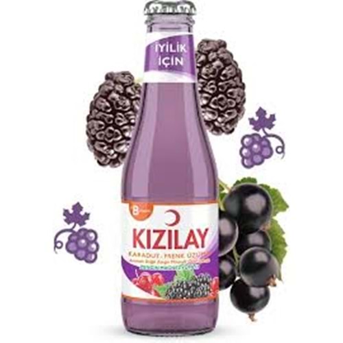 KIZILAY KARADUT FRENK ÜZÜMÜ 200ML