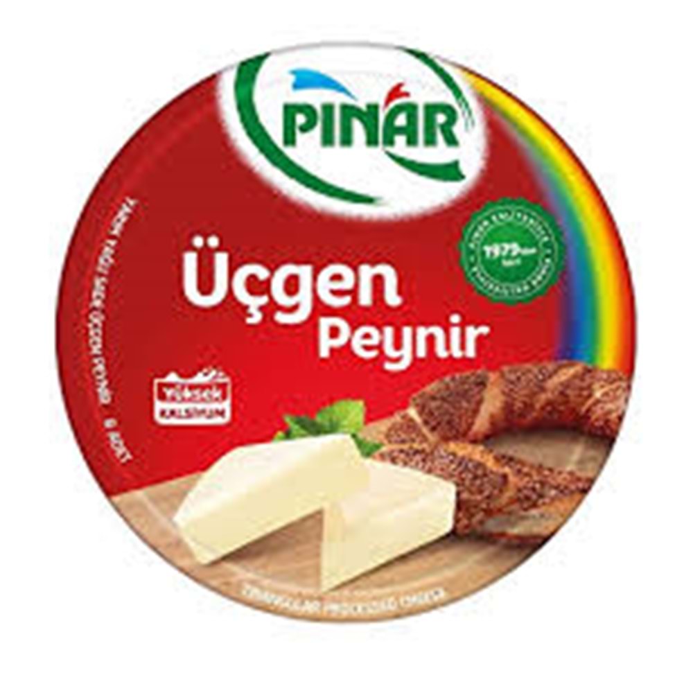 PINAR ÜÇGEN PEYNİR 12,5GR