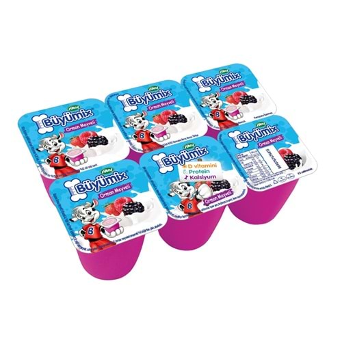 SÜTAŞ BÜYÜMİX ORMAN MEYVELİ 240GR