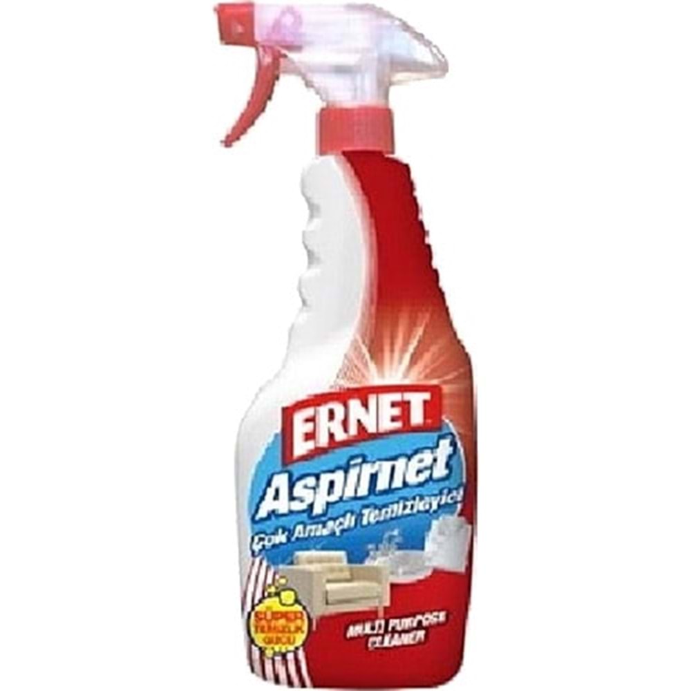 ERNET ASPİRNET YÜZEY TEMİZLEYİCİ 750 G
