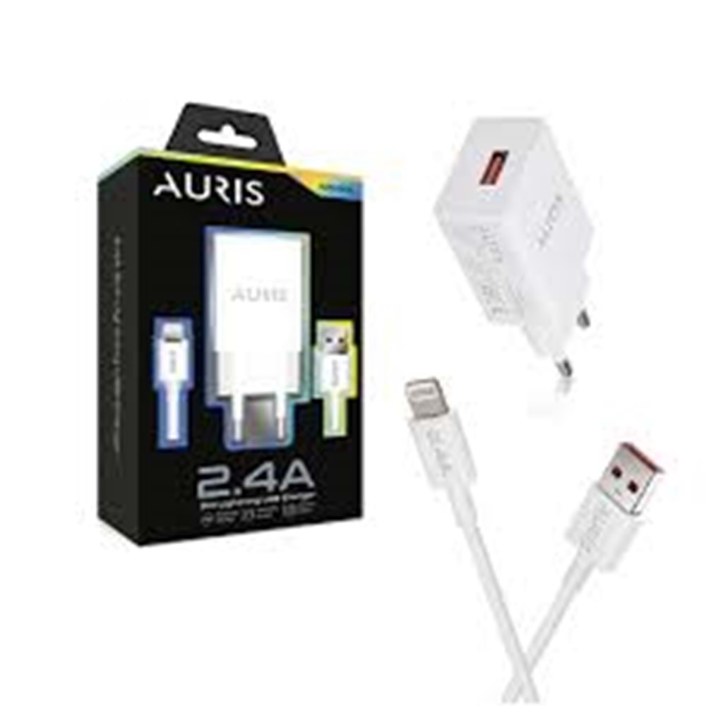 AURIS ARS-CH12 ŞARJ SETİ