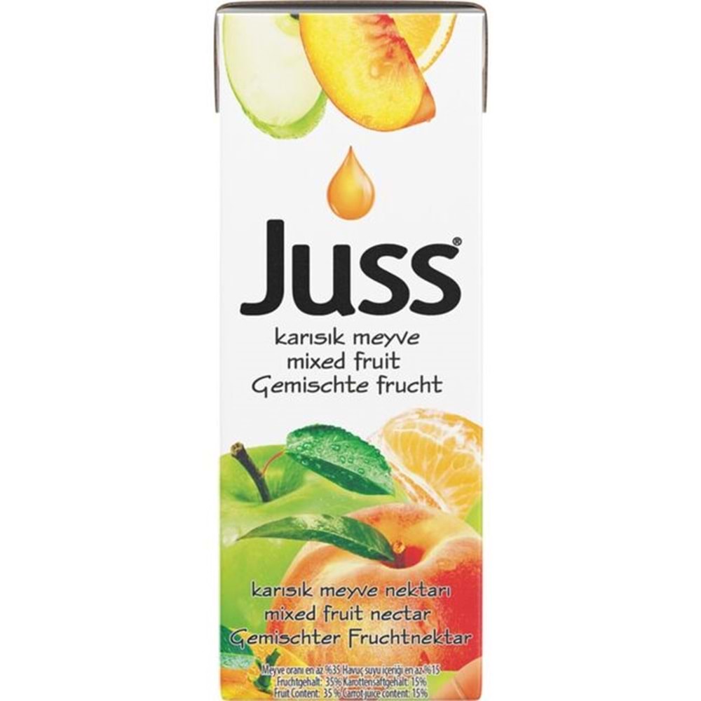 JUSS KARIŞIK MEYVE SUYU 200 ML