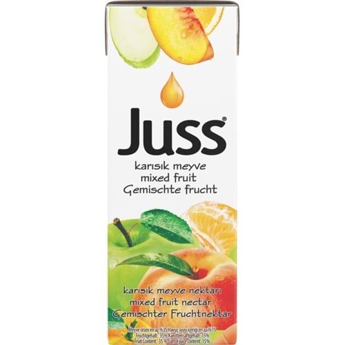 JUSS KARIŞIK MEYVE SUYU 200 ML