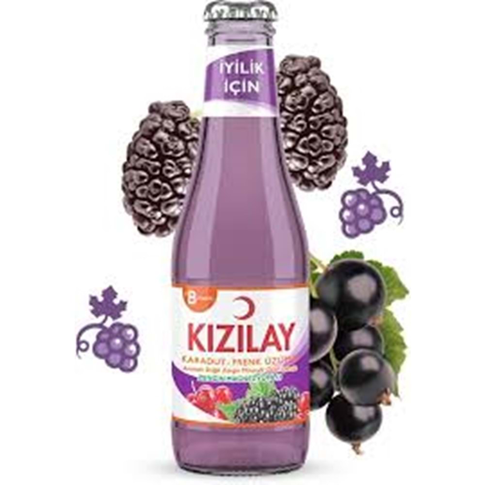 KIZILAY KARADUT FRENK ÜZÜMÜ 200ML